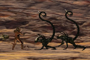 球盟会登录地址